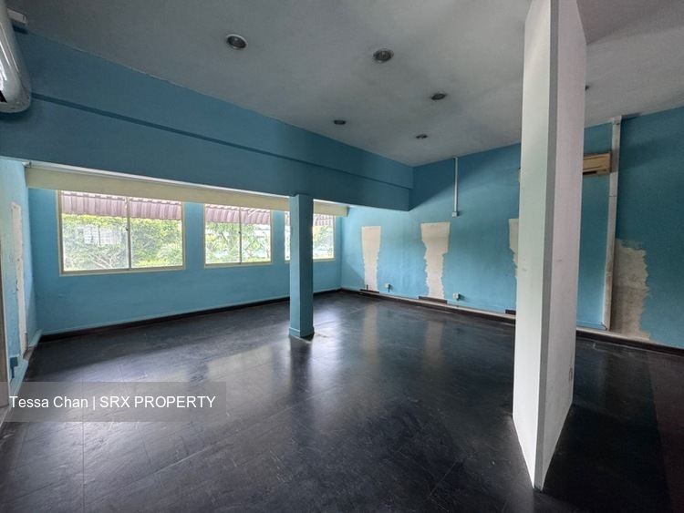 KENSINGTON PARK ROAD (D19), Shop House #628286071